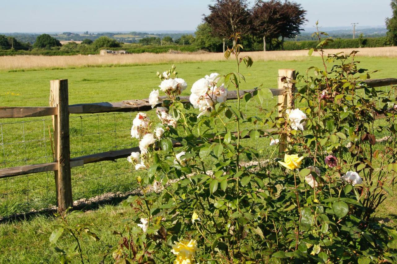 Bewl Rookery B&B Wadhurst Εξωτερικό φωτογραφία